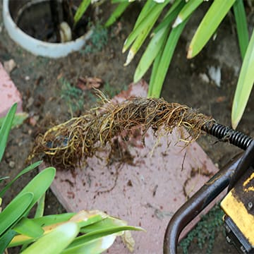Florida Drain Cleaning.
